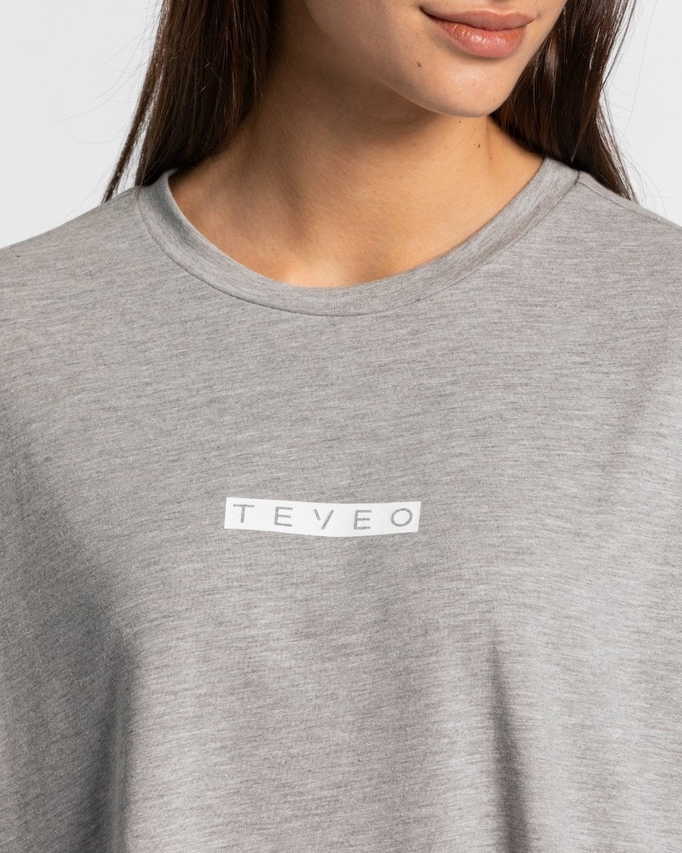TEVEO Iconic Oversized T-Shirt Gray | 198436NXM