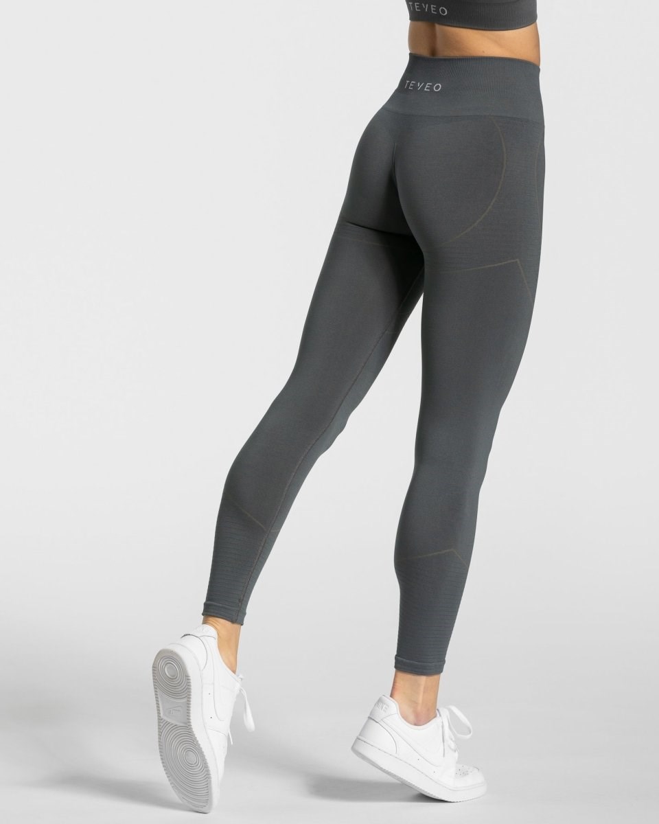 TEVEO True Leggings Dunkelgrau | 243180ZDF